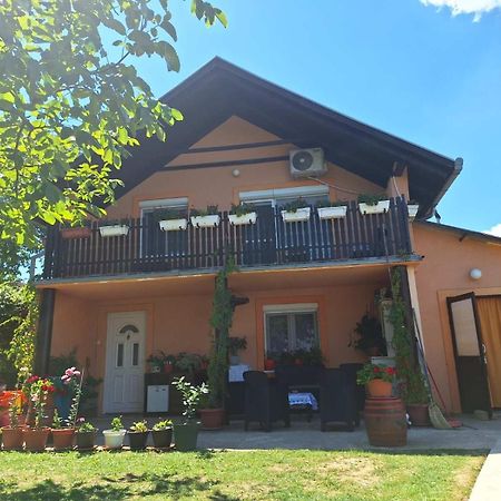 Guest House Jevtovic Karlóca Kültér fotó