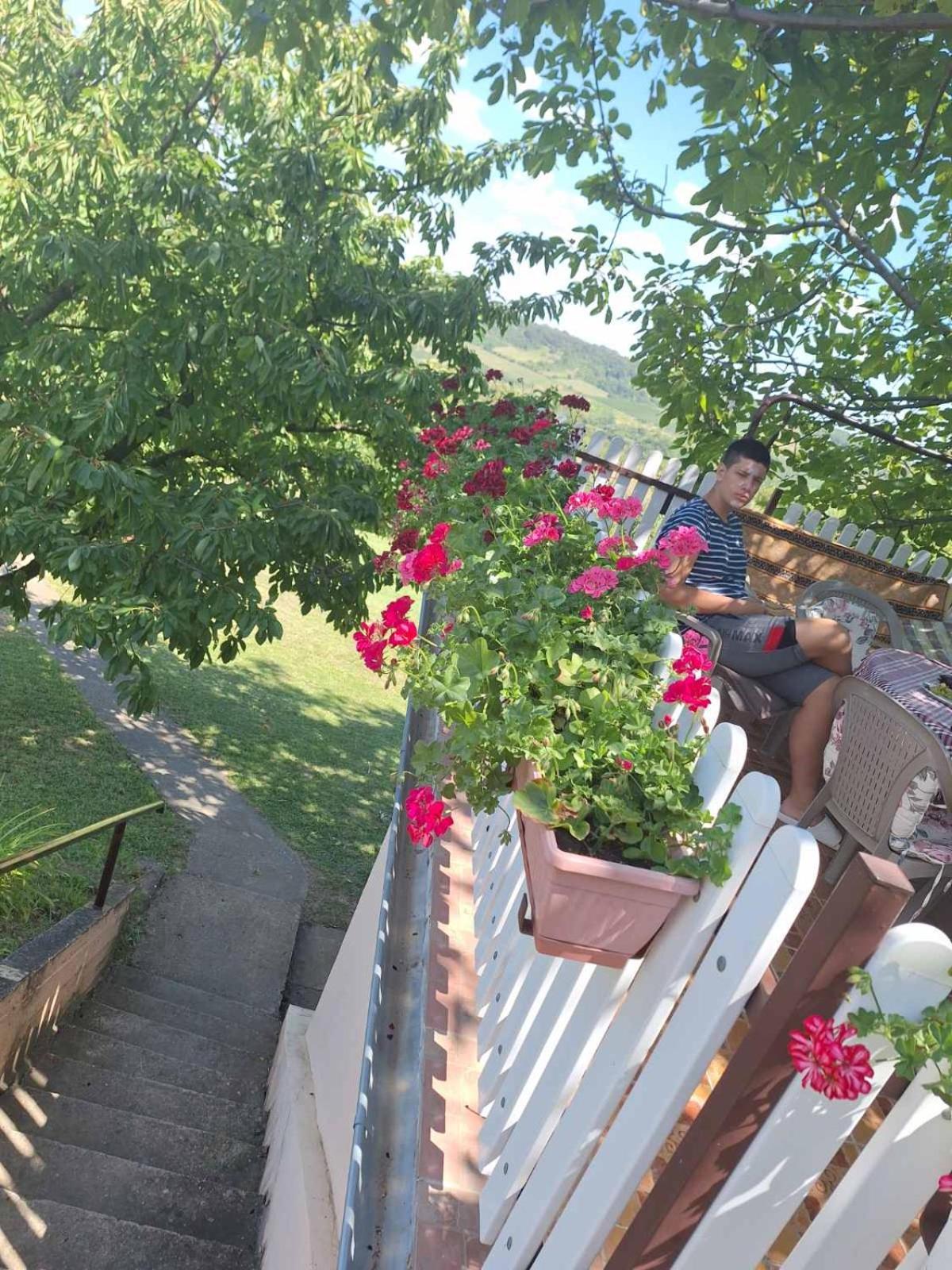 Guest House Jevtovic Karlóca Kültér fotó