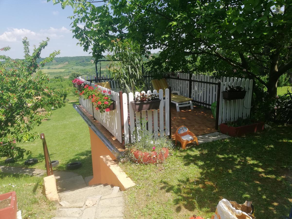 Guest House Jevtovic Karlóca Kültér fotó