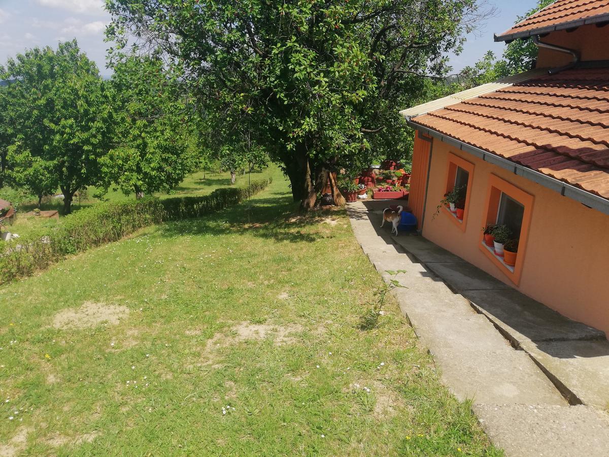 Guest House Jevtovic Karlóca Kültér fotó