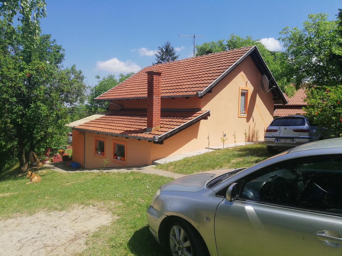Guest House Jevtovic Karlóca Kültér fotó
