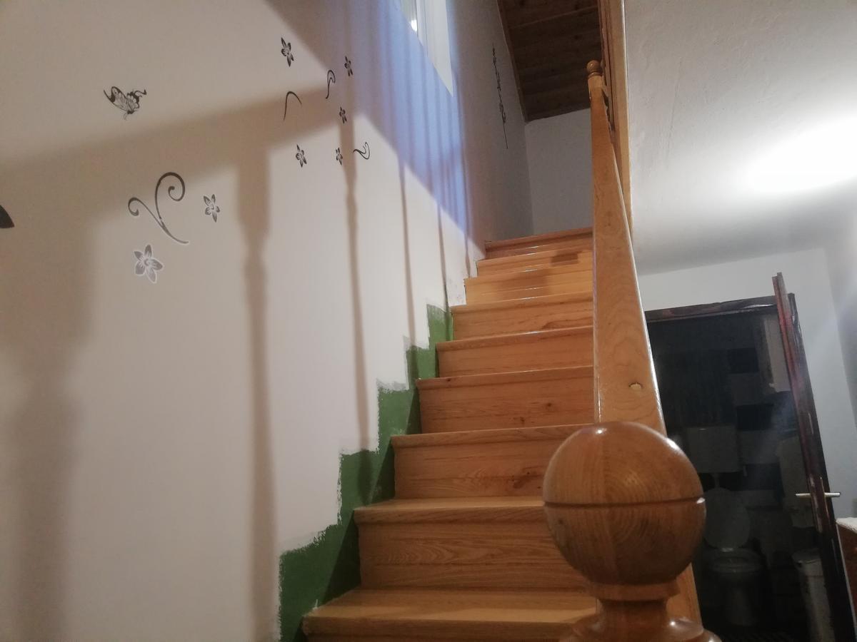 Guest House Jevtovic Karlóca Kültér fotó
