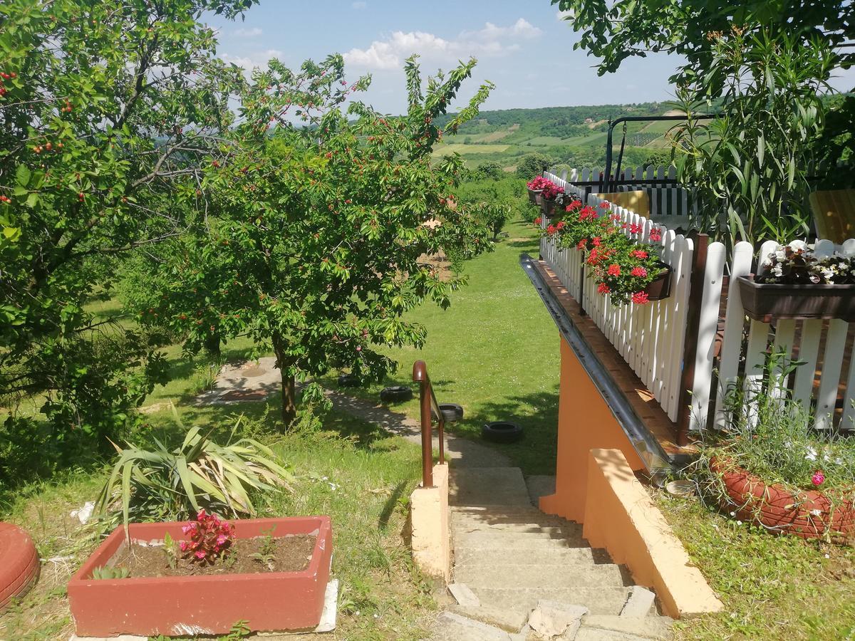 Guest House Jevtovic Karlóca Kültér fotó