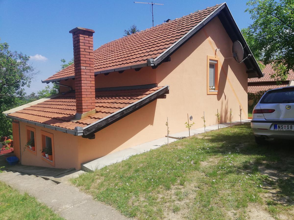 Guest House Jevtovic Karlóca Kültér fotó