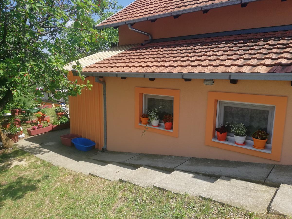 Guest House Jevtovic Karlóca Kültér fotó