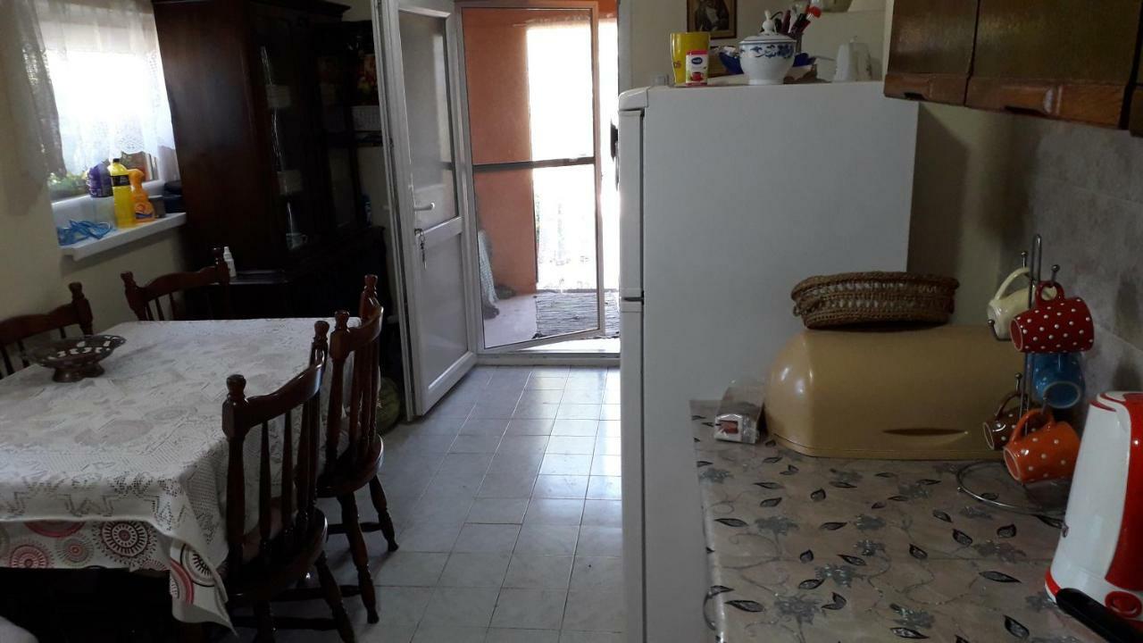 Guest House Jevtovic Karlóca Kültér fotó