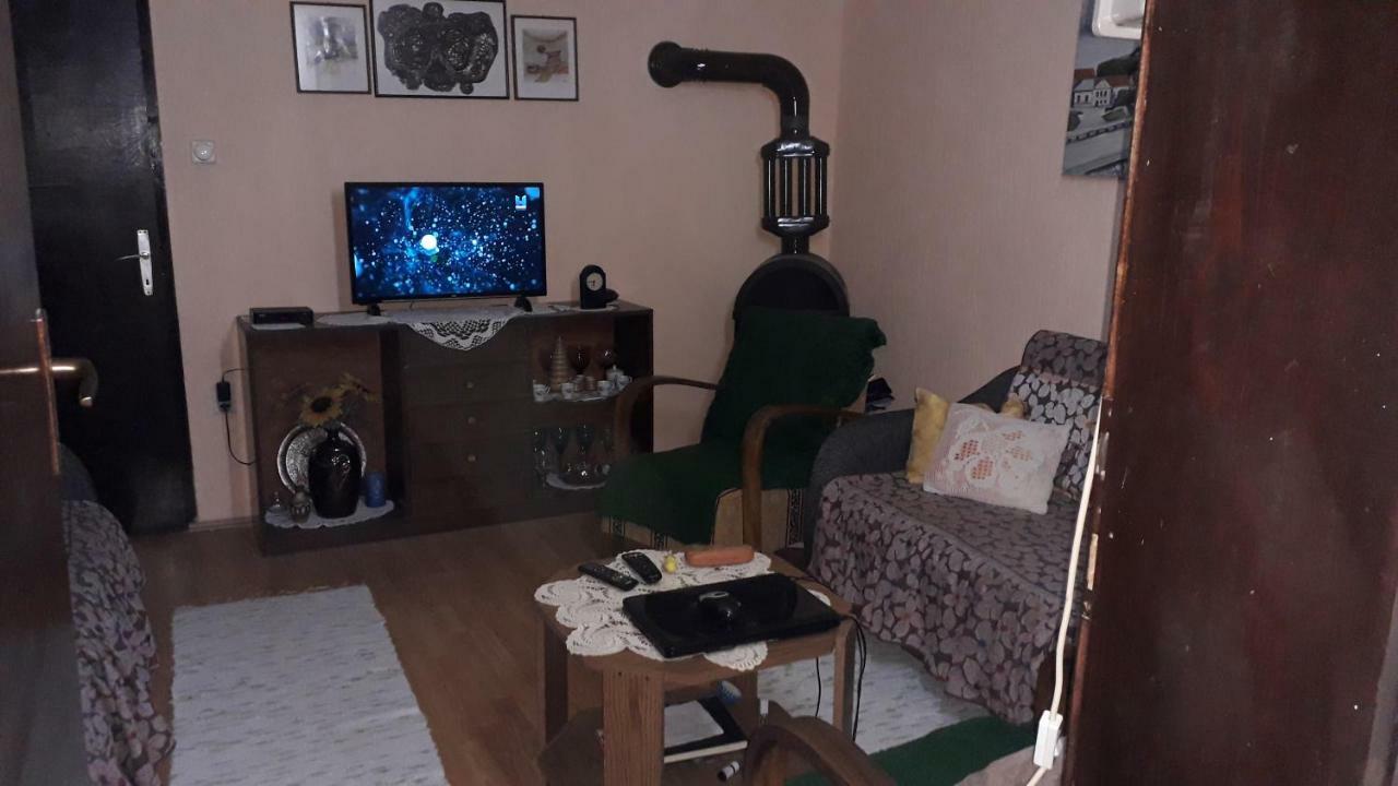 Guest House Jevtovic Karlóca Kültér fotó